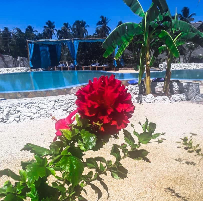 Hotel Lucrezia'S Garden Zanzibar Pwani Mchangani Zewnętrze zdjęcie