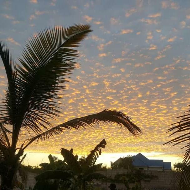 Hotel Lucrezia'S Garden Zanzibar Pwani Mchangani Zewnętrze zdjęcie